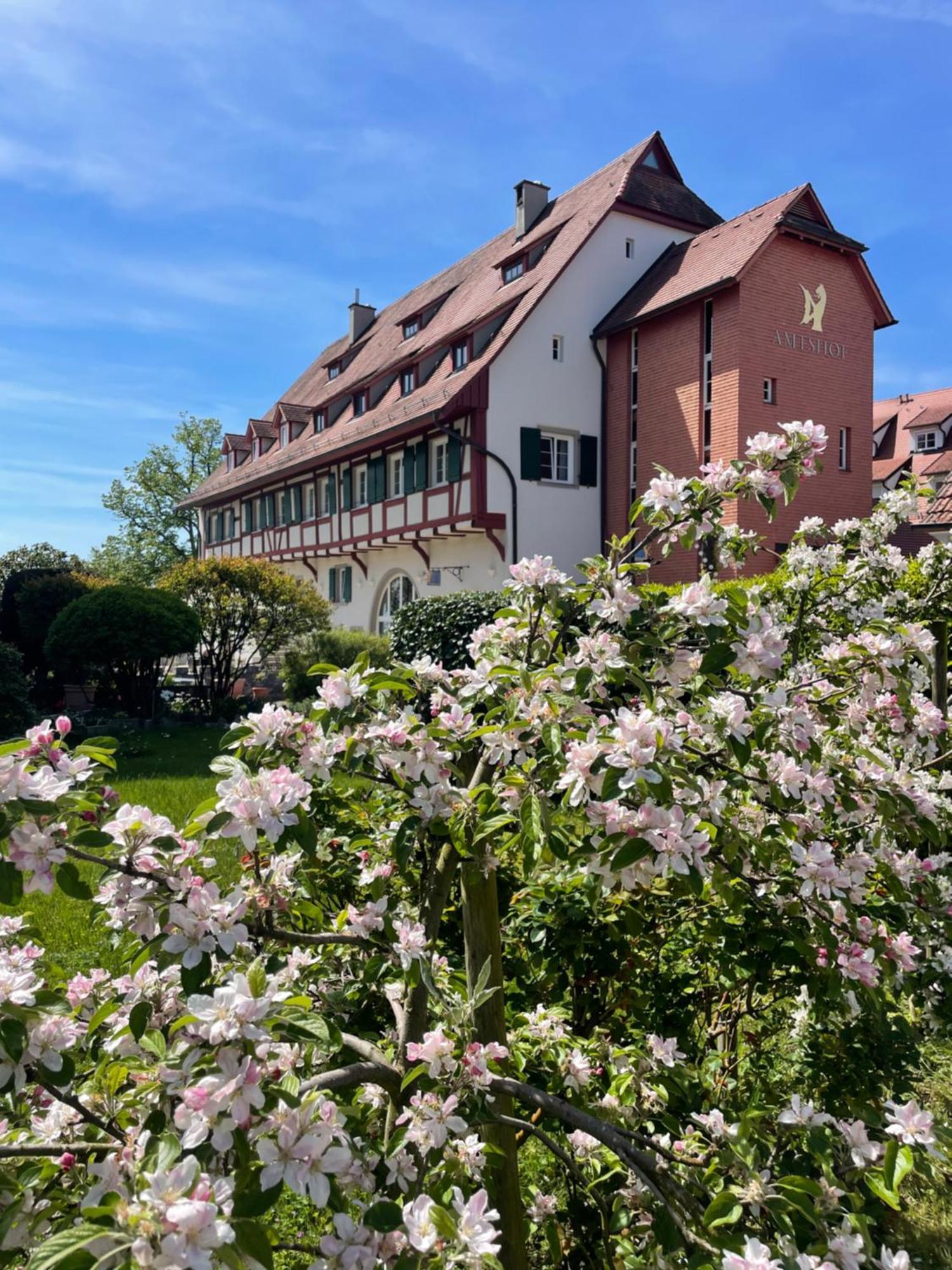 Seehotel Amtshof Langenargen Kültér fotó